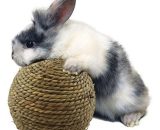 6cm Pet Chew Toy Rabbit Natural Grass Ball For Rabbit Hamster Guinea Pig For Tooth Cleaning Pet Supplies Drop Ship Wholesale JMS-11707 2401429954833