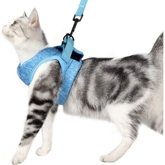 Ultra-Light Cat Harness and Lead Soft and Comfortable Kitten Collar Running Jacket Suitable for Rabbit Puppies(Blue,S) - Litzee LI004153 9116323642146