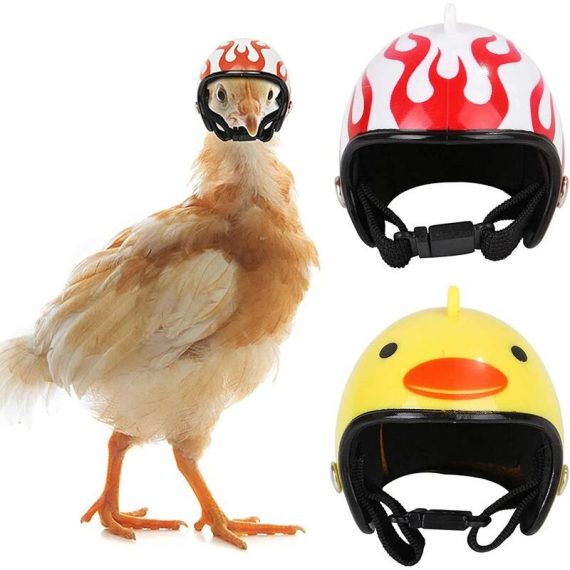 Chicken Helmet Helmet Helmet Pet Bird Headset Hat Hats Funny Chicken Small Animal Headset Helmet Suitable for Chicken Poles Animal Bird BETGB014281 9434273284316