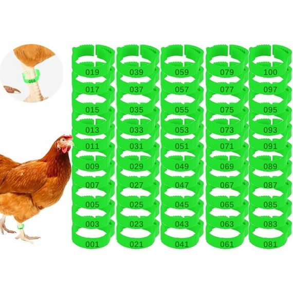 Lot of 100 rings for chicken feet with digital label buckle adjustable ring for chicken leg, birds, pigeons, bird clips, ankles, quail leg stripes, BETGB014286 9434273284361
