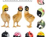 Pet Chicken Helmet Small Pet Headgear Pet Bird Creative Hat Head Protecter - Flkwoh 9uk13790-OF1203 9348381009061