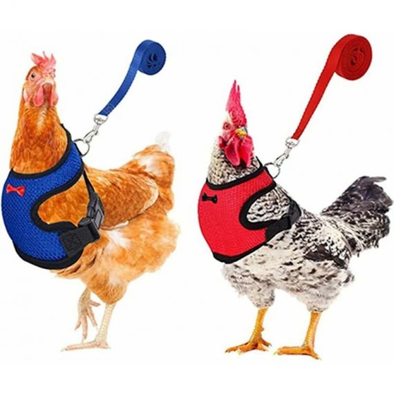 Adjustable Soft Harness Chicken Harness 2 Pieces Chicken Sling New Pet Leash, Adjustable, Comfortable, Breathable, Small Duck Leash With Pet Leash(M) SZ-20555 6286500532249