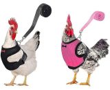 Thsidne 2pcs Chicken Harness And Leash, Modified Adjustable Breathable Harness Specially Designed For Chicken Duck Goose Training And Walking, TM1027231-K806 9360953935493