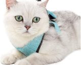 Cat Harness and Leash Ultra-light Kitten Collar Soft and Comfortable Cat Walking Jacket Running, Leak-Proof Suitable for Puppy Rabbits (Green, s) YGF02329 9019936528336