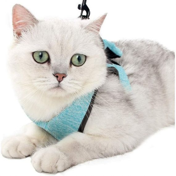 Cat Harness and Leash Ultra-light Kitten Collar Soft and Comfortable Cat Walking Jacket Running Leak-Proof Suitable for Puppy Rabbits (Green, m) YGF02328 9019936528329