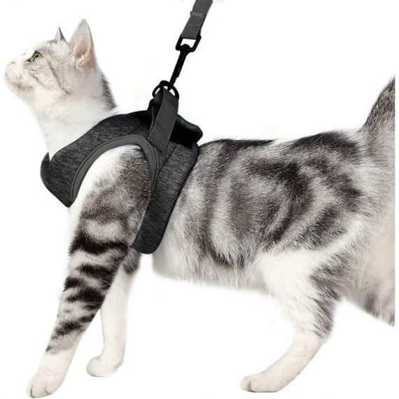 Cat Harness and Leash Ultralight Kitten Collar Soft and Comfortable Cat Walking Jacket Running, Leak-Proof Suitable for Puppy Rabbits(Grey,S) Tionr-Ti-UK-7524 8302550622636