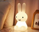 Led Night Light, Children's Lighting Toy Rabbit Room Decoration Colorful Night Light, Suitable for Children's Gifts, Home Decoration, Bedside Lamp, QE-13926 9661545561541