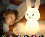 Rhafayre - Rabbit Night Light Baby Touch 7 Colors usb Rechargeable Can Be Timed Night Light Kids Deco Lamp For Christmas Decoration Kid Room Birthday DJLMM0358 9351729975058