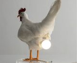 Chicken Led Egg Lights Night Light Taxidermy Chicken Egg Desk Lamp Y0038-UK3-K0076-221206-15891-024