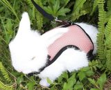 Harness for rabbits India Pigs Small Animals with Elastic Leash Flexible Vest for Promenade (Rose) BETGB014220 9434273283708