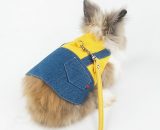 Harness and Leash for Rabbit - Clothing for Rabbit Guinea Pig - Vest and Leash for Rabbit, Ferret, Guinea Pig, Rabbit, Hamster (s) YBD011808PXM 9349843154695