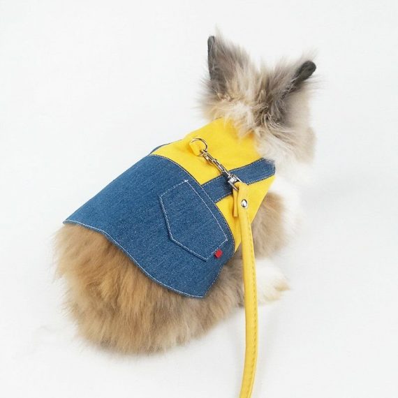 Harness and Leash for Rabbit - Clothing for Rabbit Guinea Pig - Vest and Leash for Rabbit, Ferret, Guinea Pig, Rabbit, Hamster (s) YBD011808PXM 9349843154695